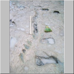 100_0606 (2009-27-07)m.JPG